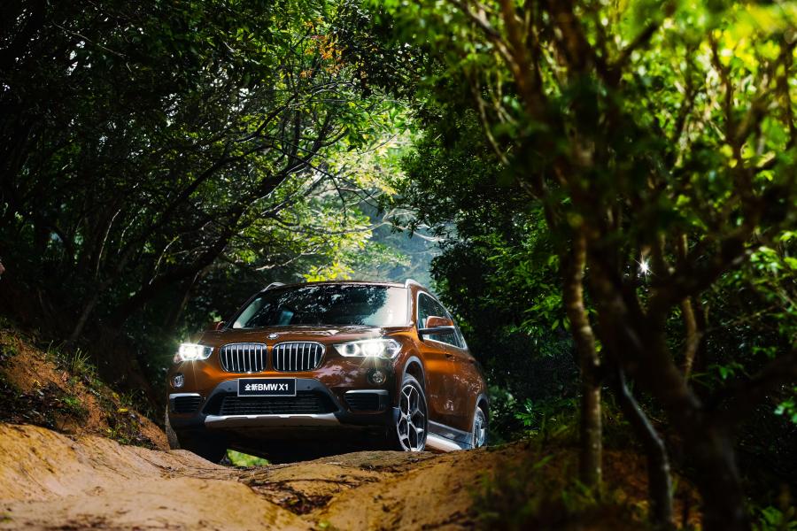  BMW X1 xDrive25Li xLine 2016 года  (фото 10 из 39)